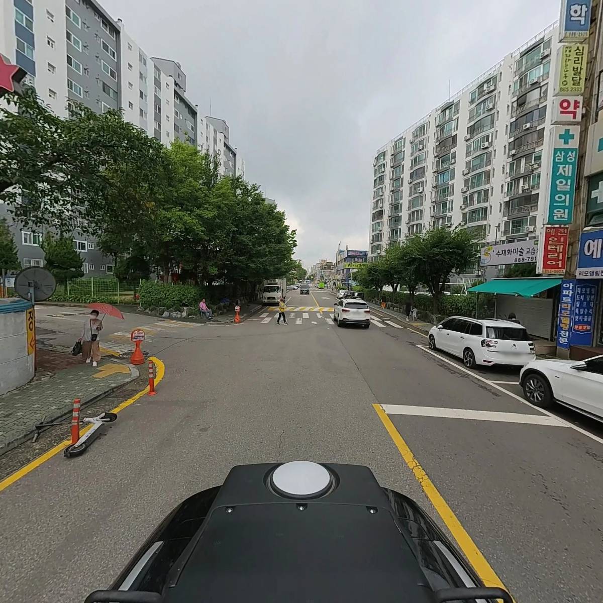 자라는나무_2