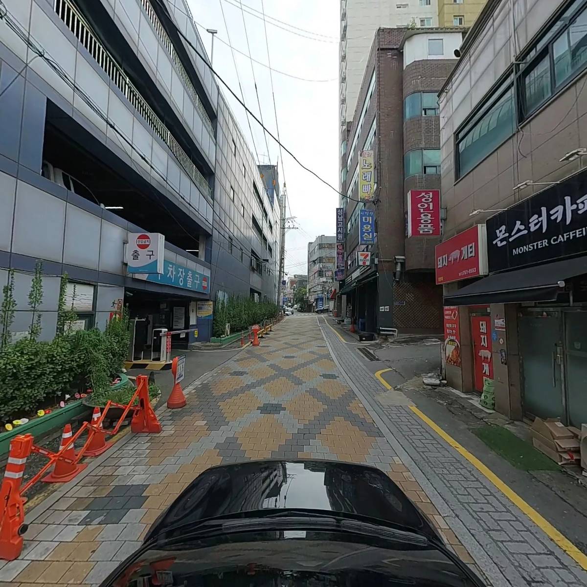 돼지게티 모란_4