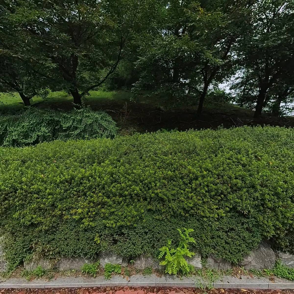 혜성산업개발(주)