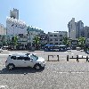 우리 행초_3