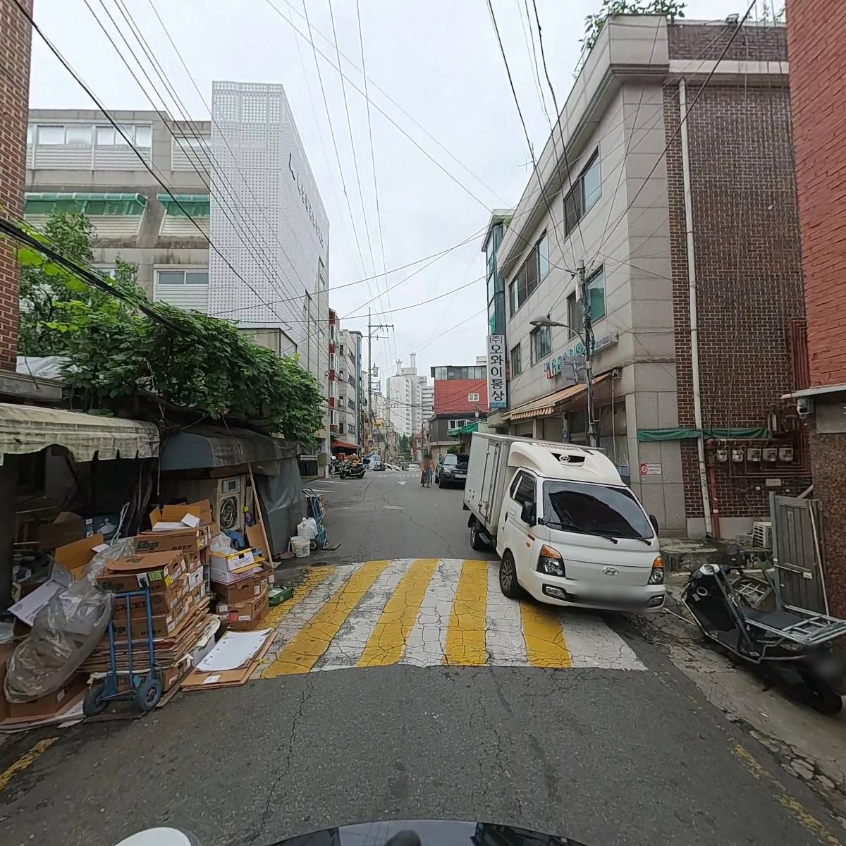 진성미트_2