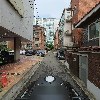 메디타민 코리아_2