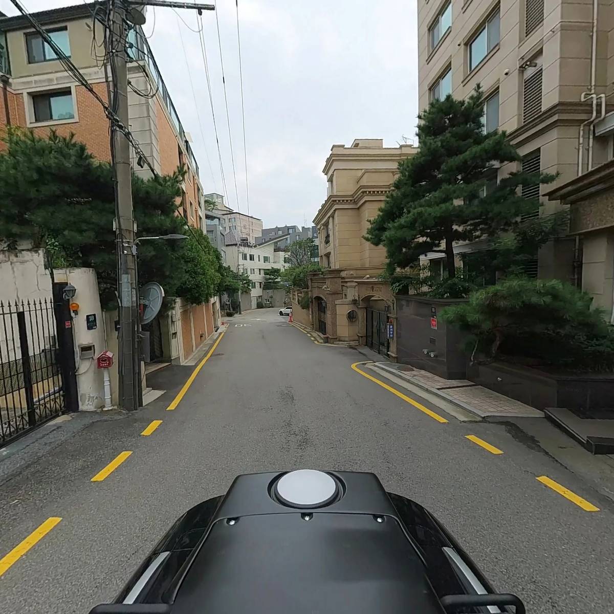 라펠리체_2