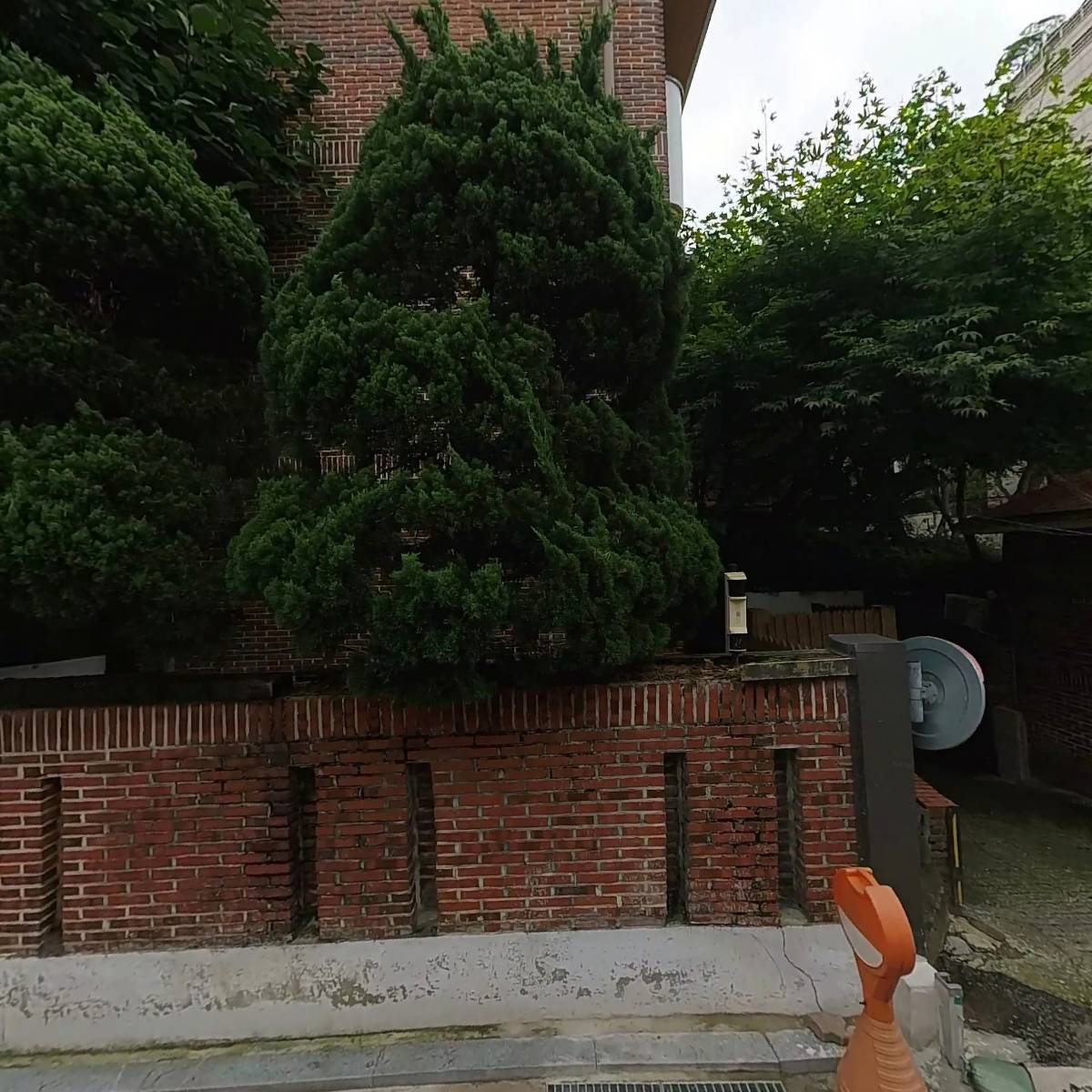더판다