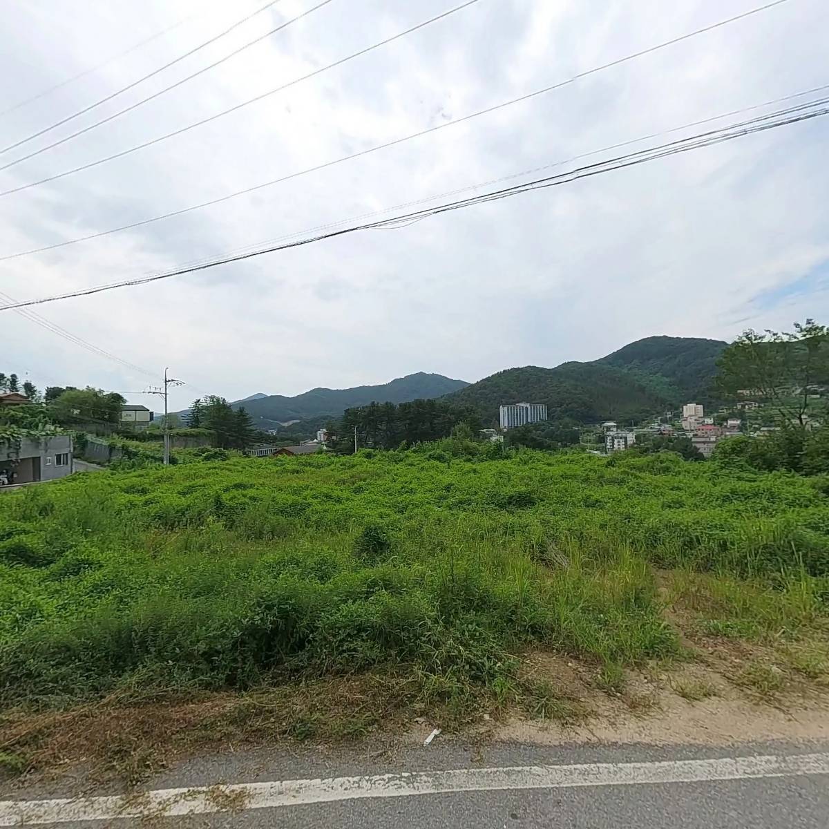 솔몽_3