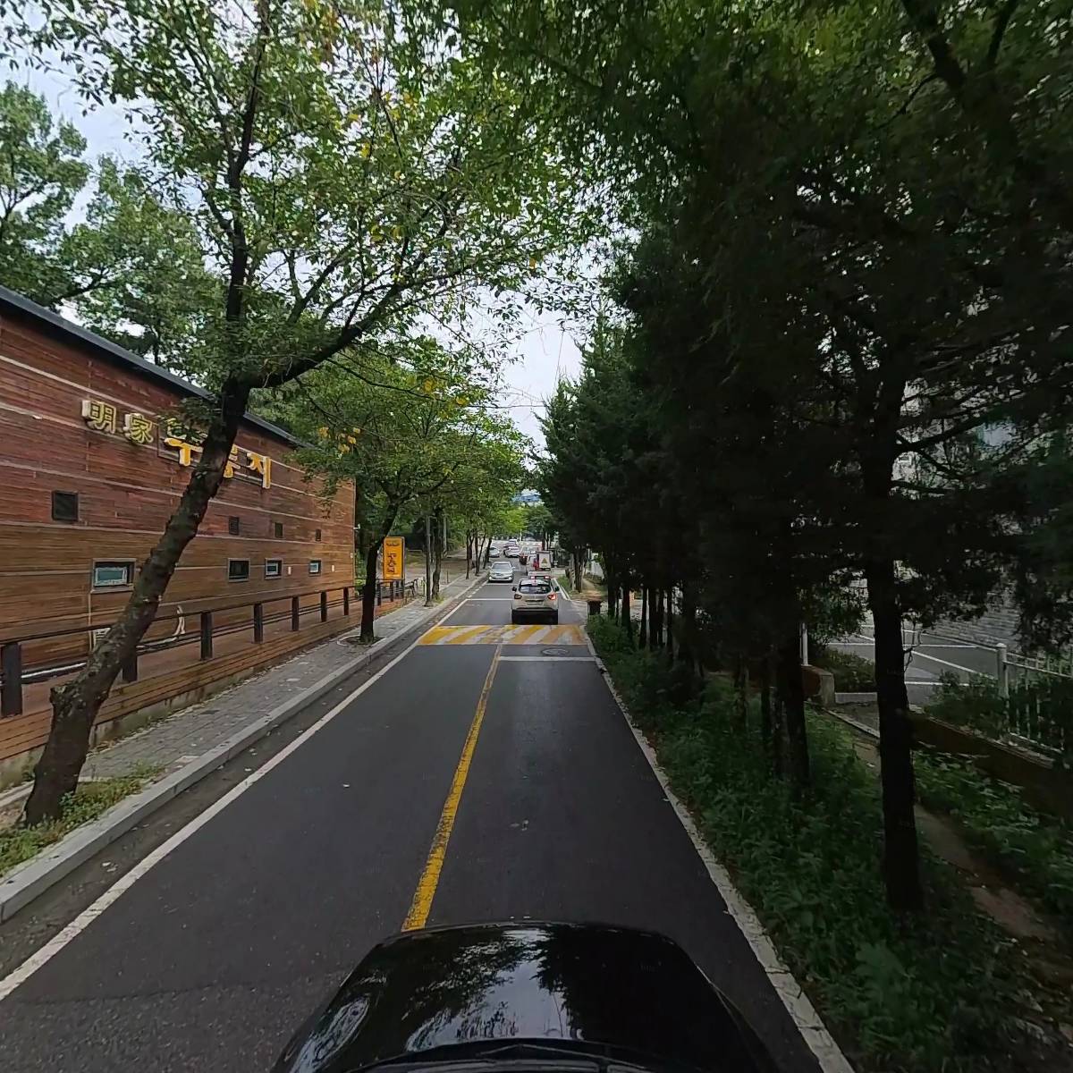 늘푸른_4