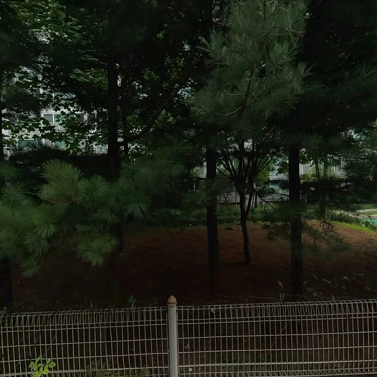 재재필라테스