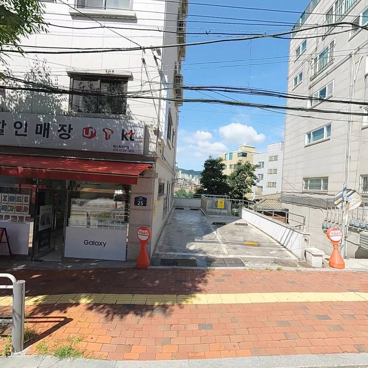 메디컬트리