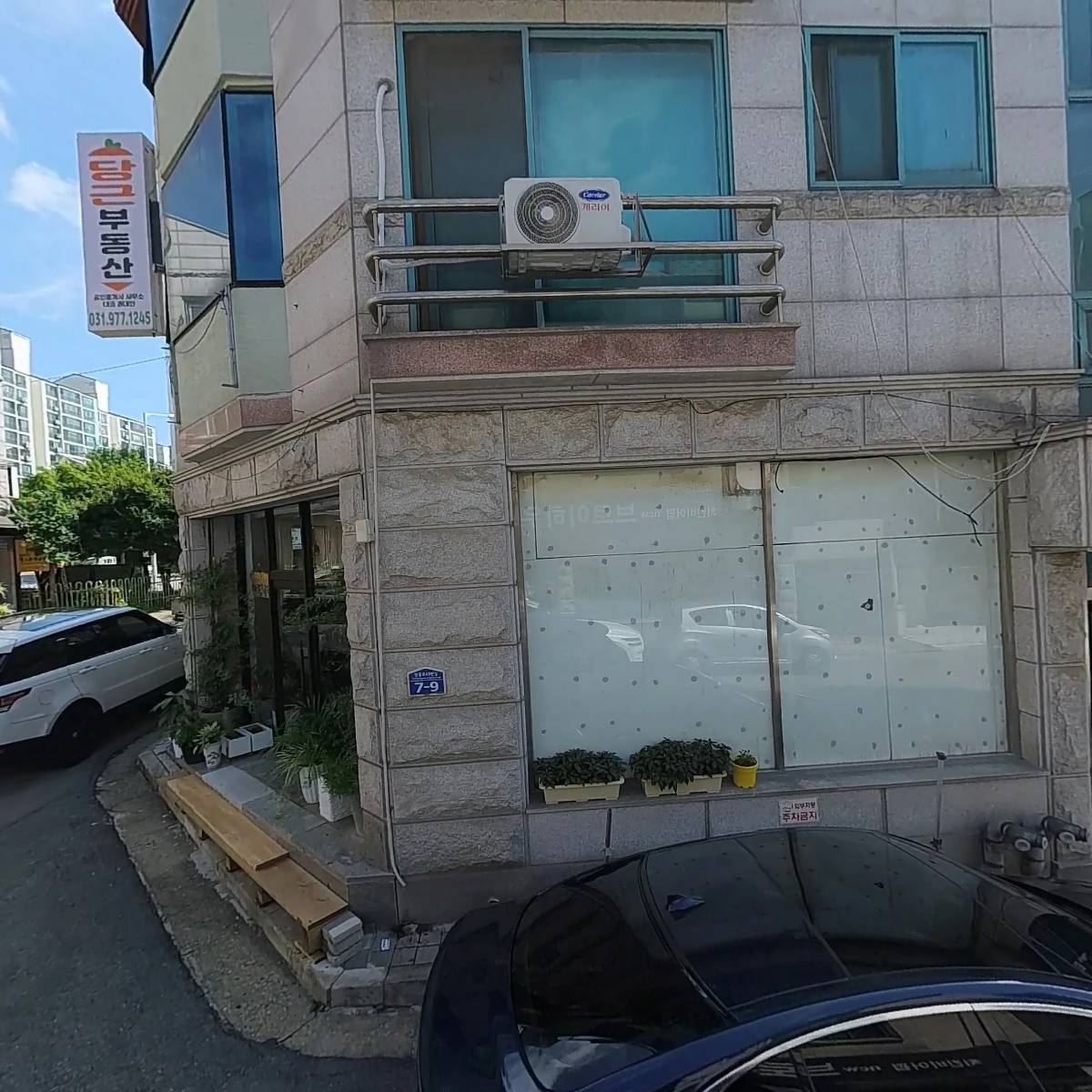파란낙타