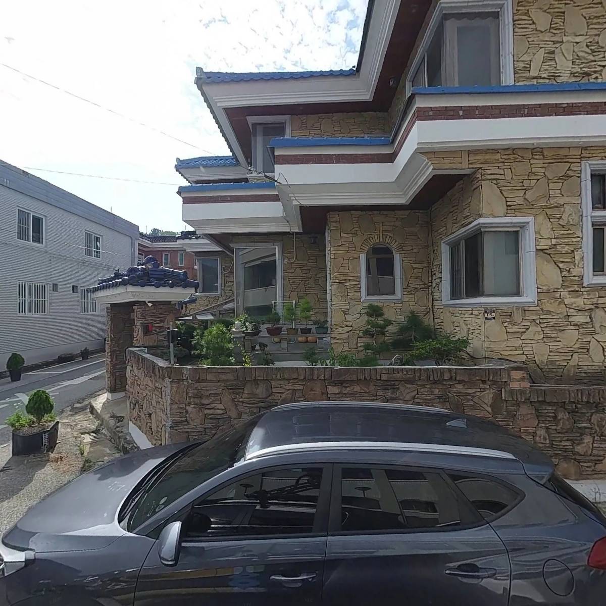 마느
