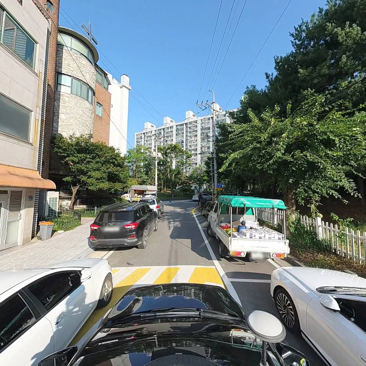 팔도야채과일_4