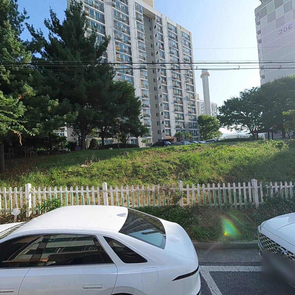 팔도야채과일