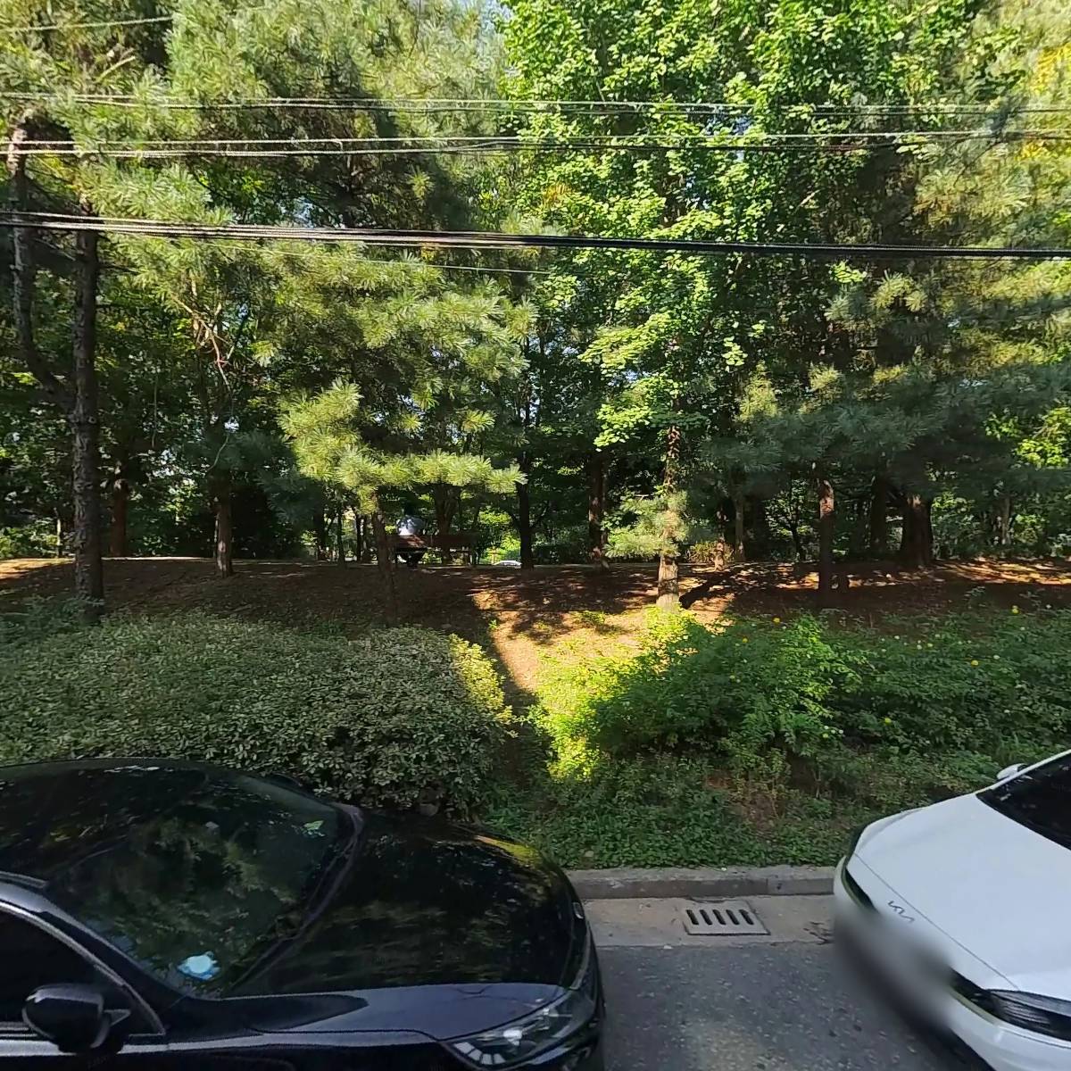위키드