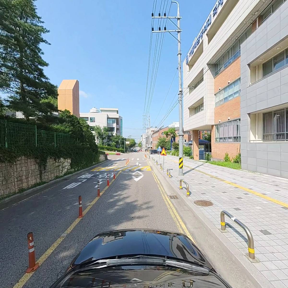 첼리나_4