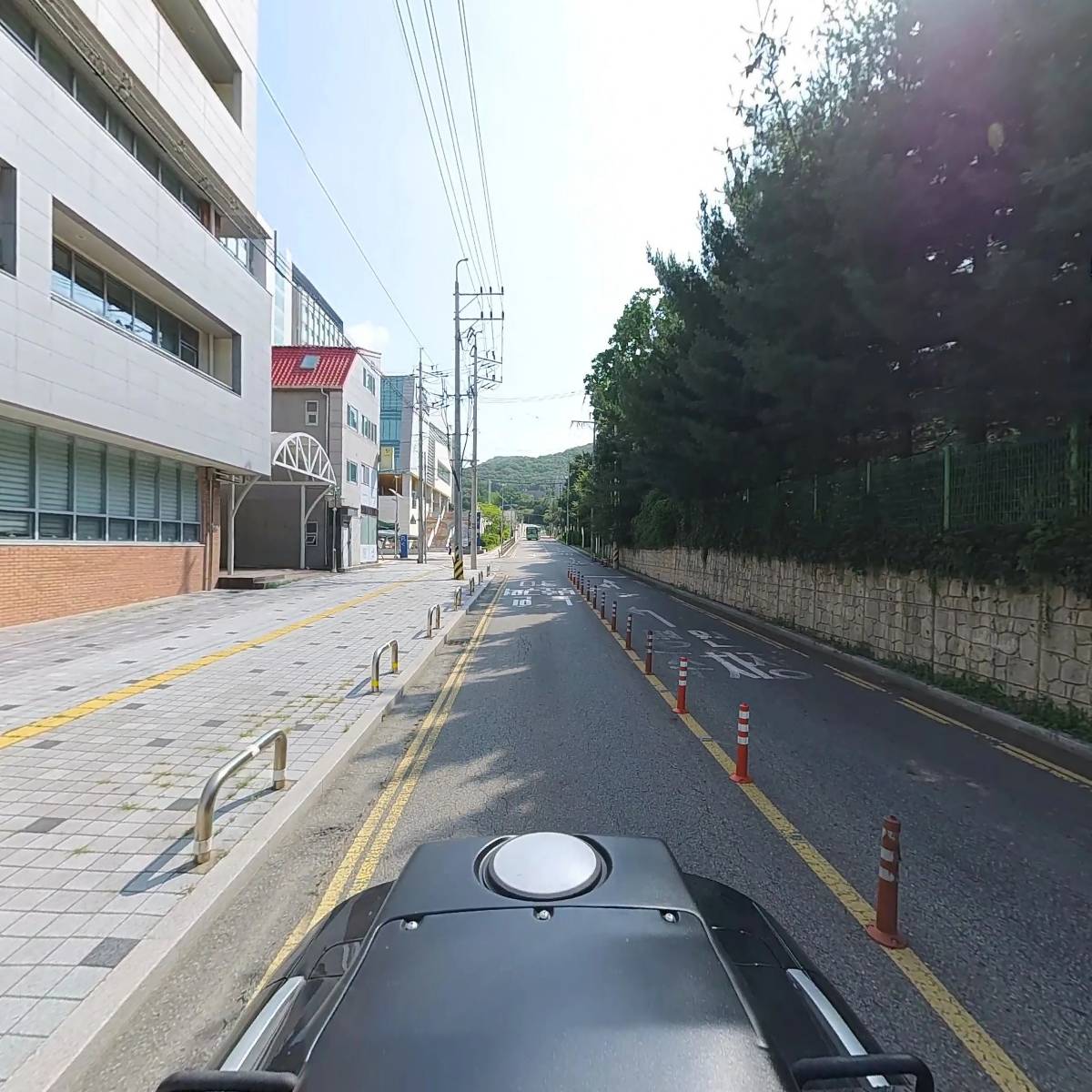 첼리나_2