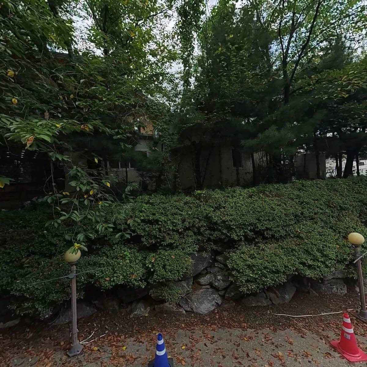 자반고 일산점