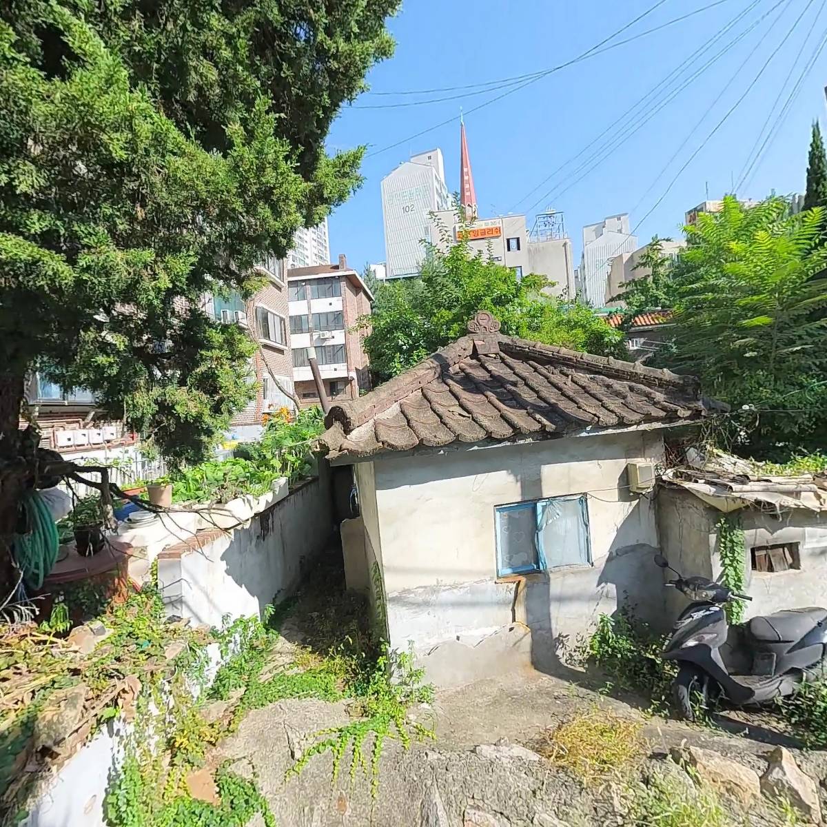 사슬로우
