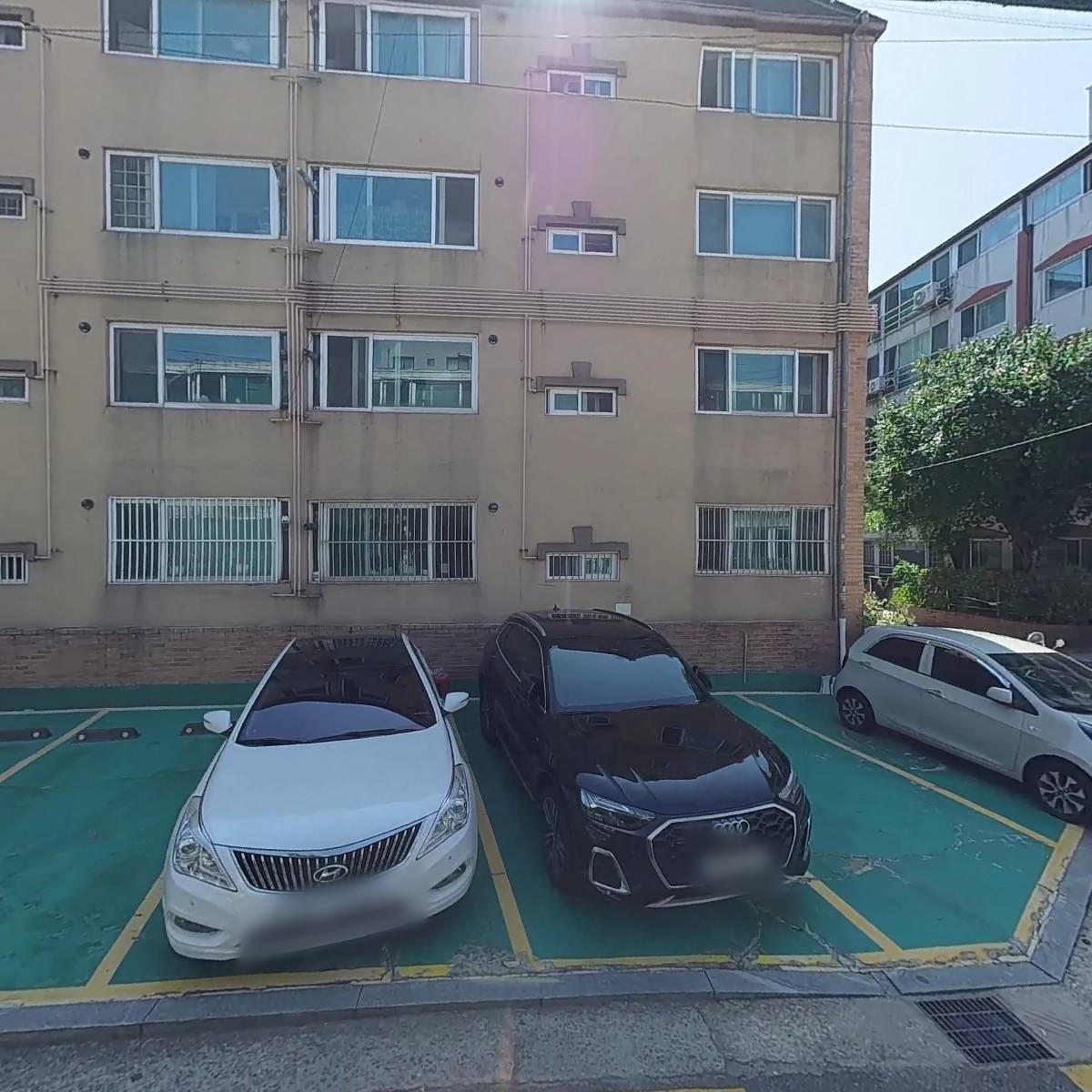 비비드나인(VIVIDNINE)_3