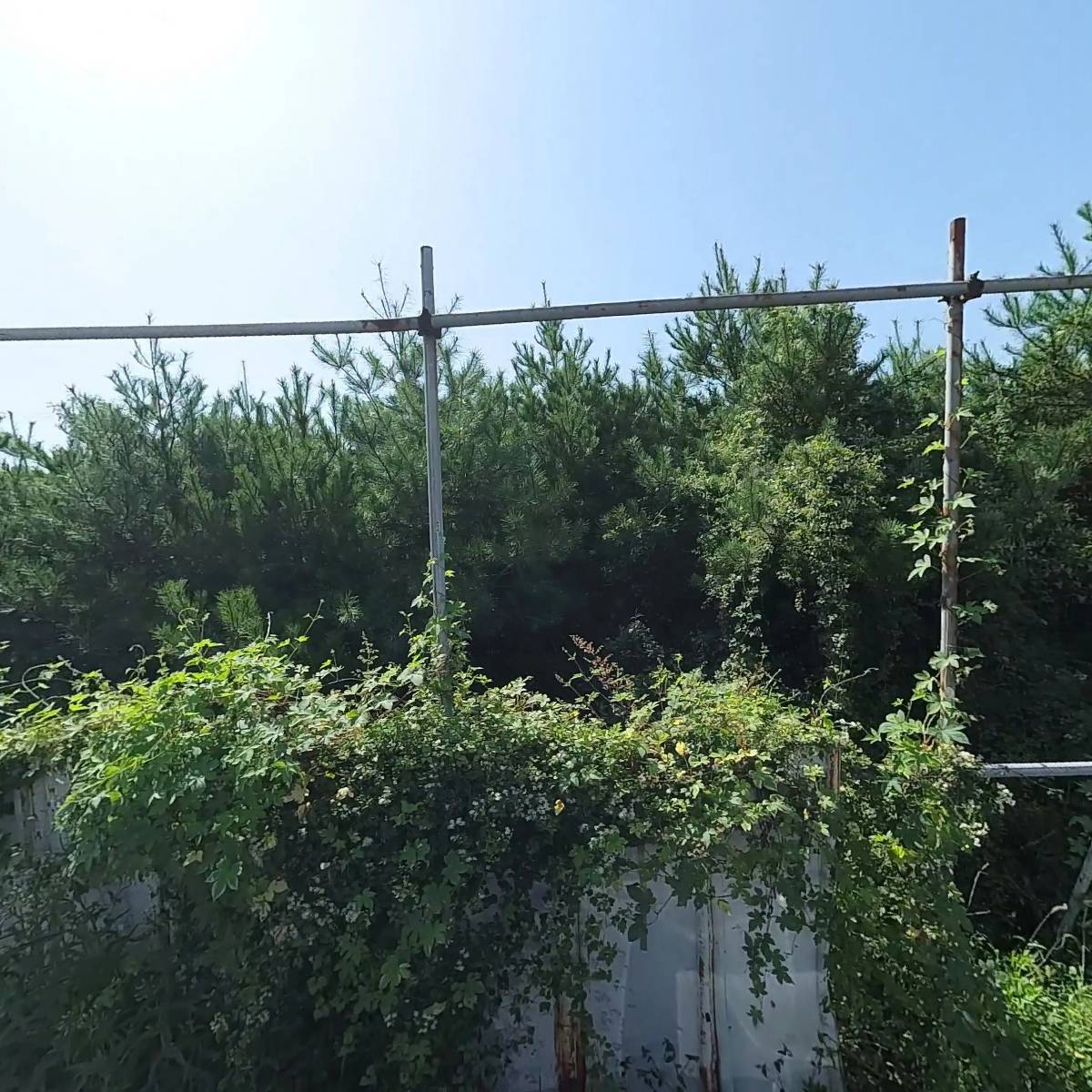 키즈휠즈 일산파주점