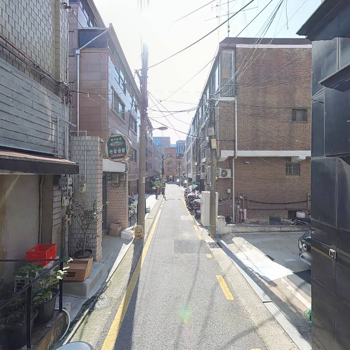 콩나물 공장_2