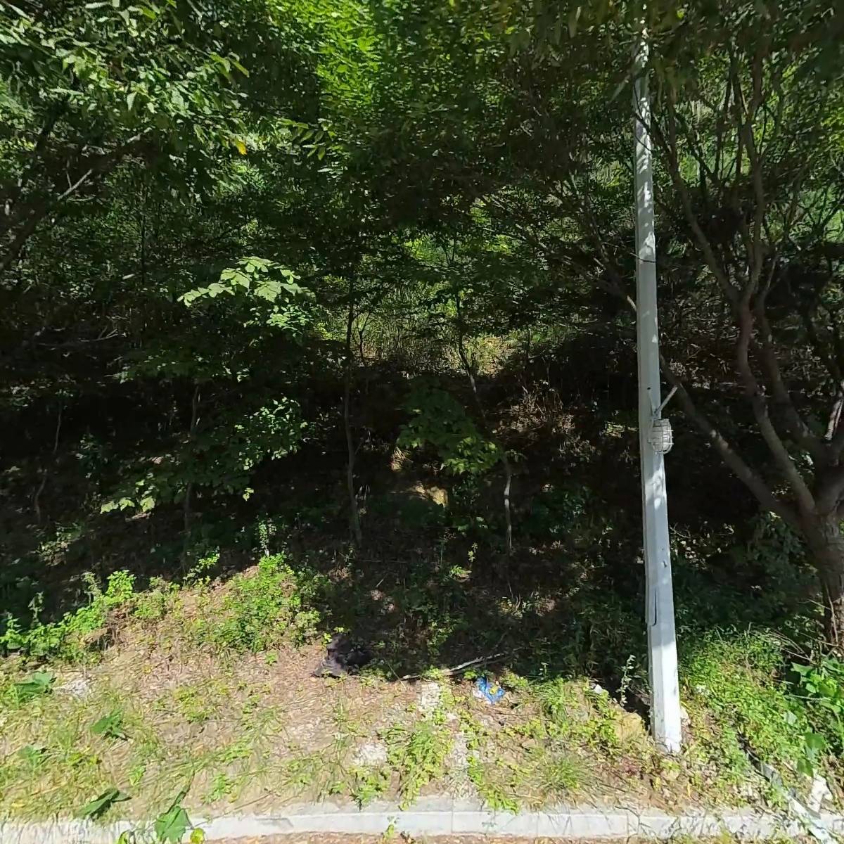 곤지암스키장쿨레포츠