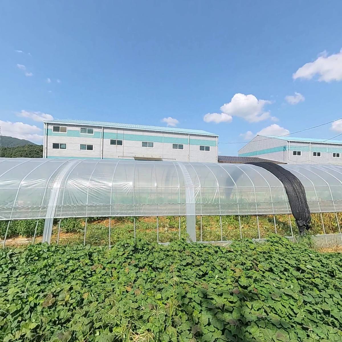 장우복지기업(주)