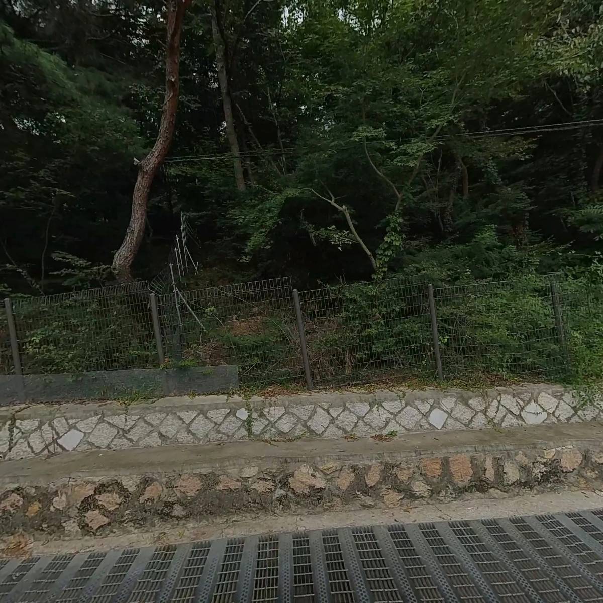 홍연초등학교