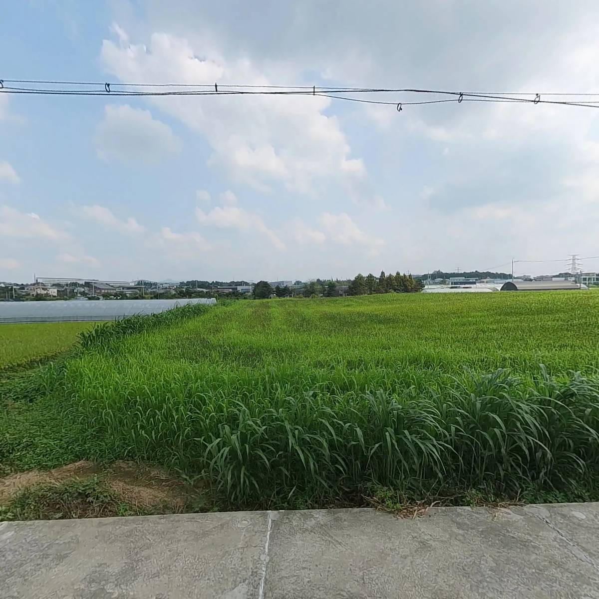 주식회사 에이에이모터스