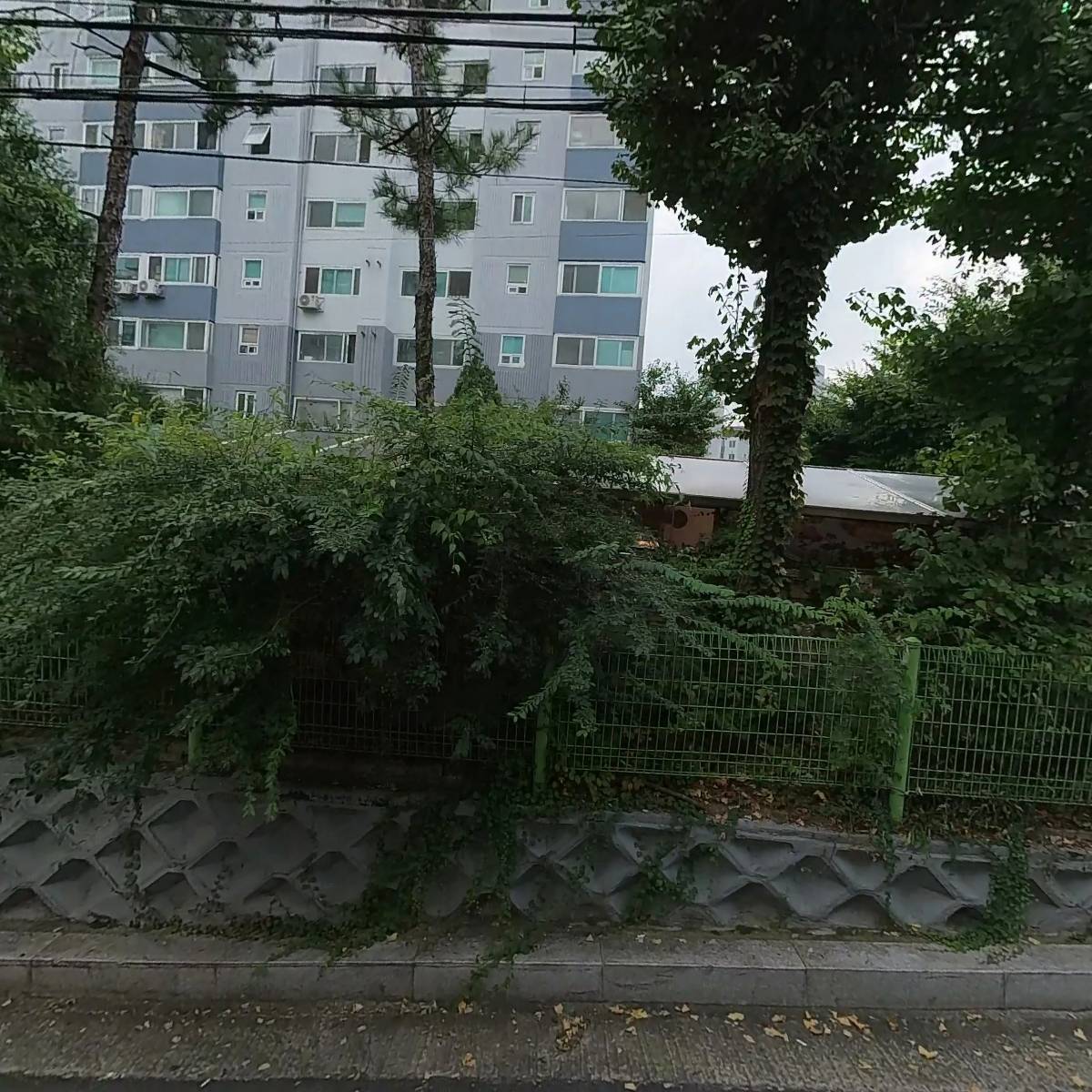 마켓모아모아 본점