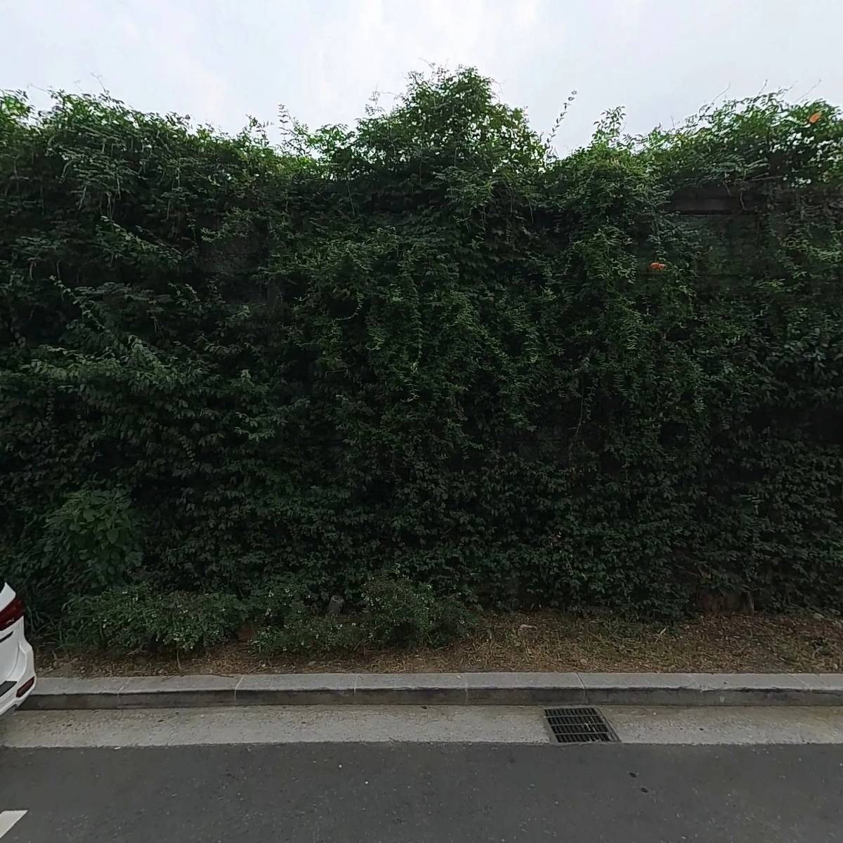 사）한국장애인정보화협회강남지회