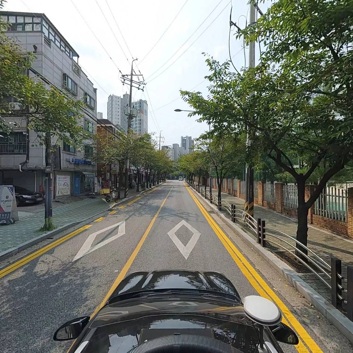 모닝글로리_4