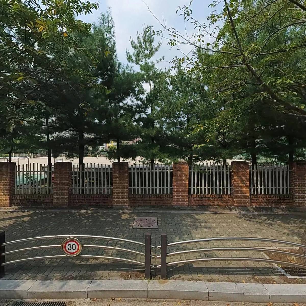 모닝글로리