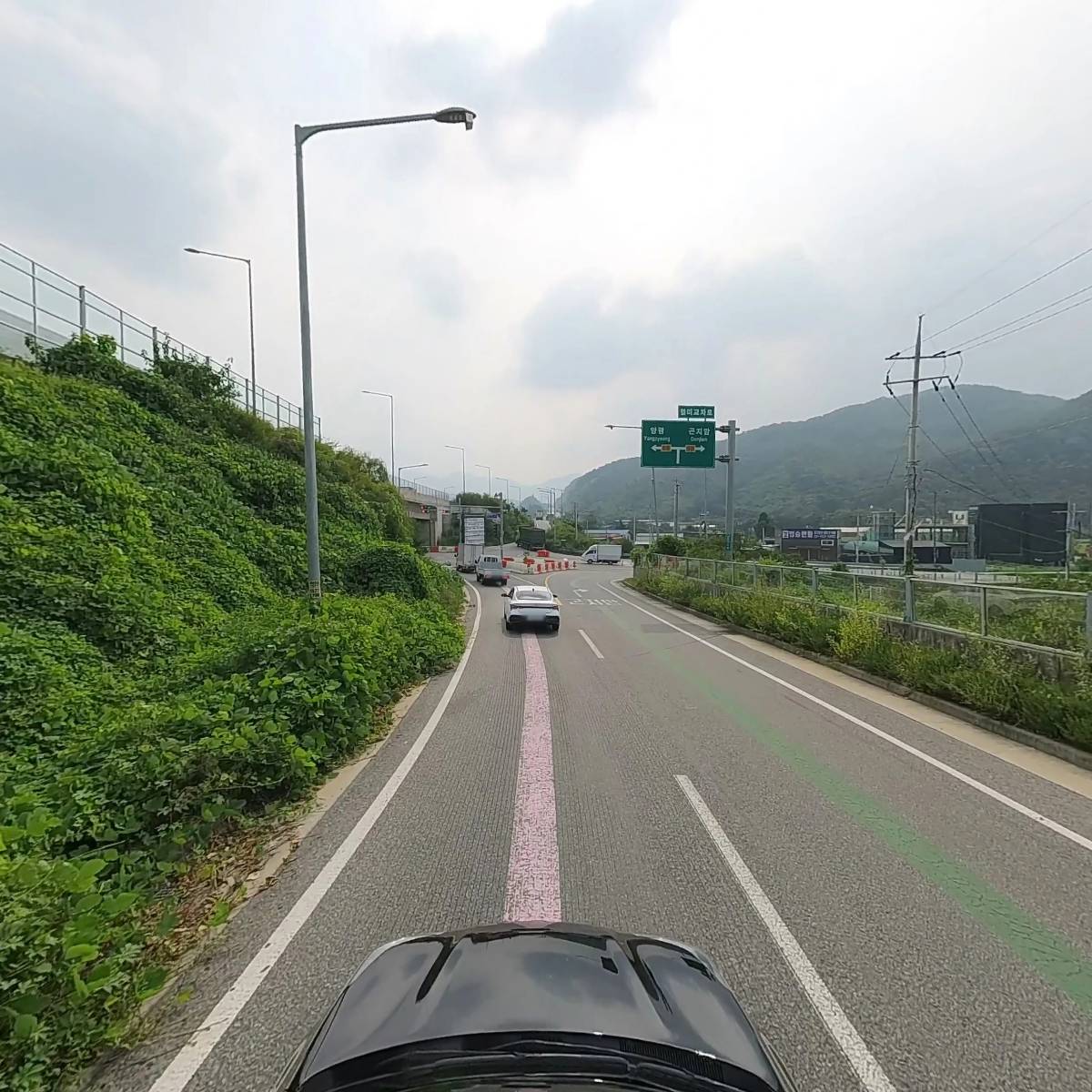 베일리펫케어_4