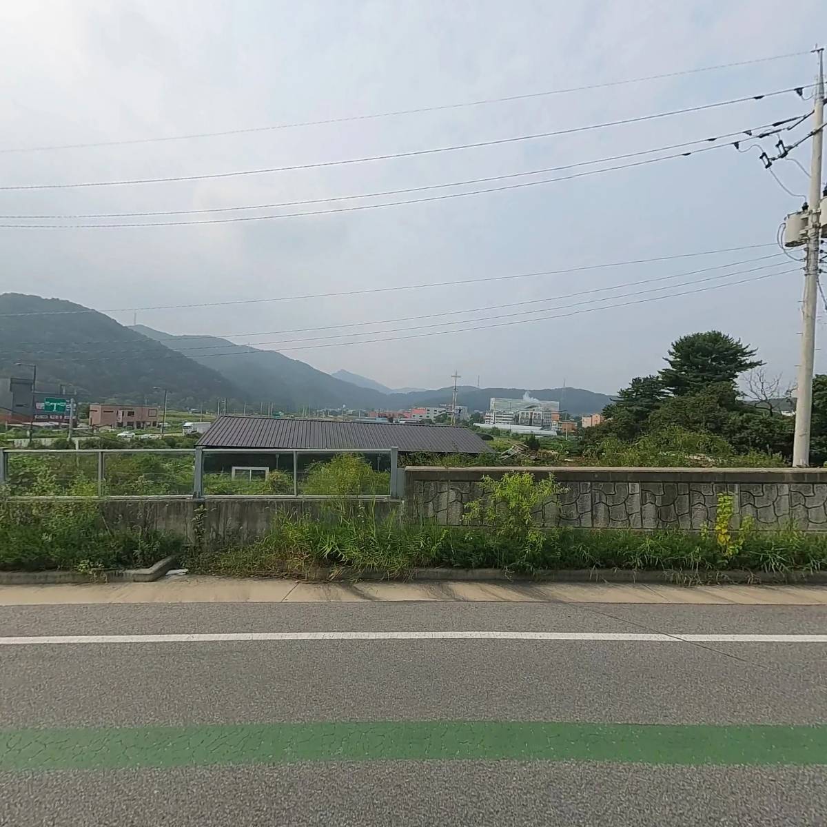 베일리펫케어