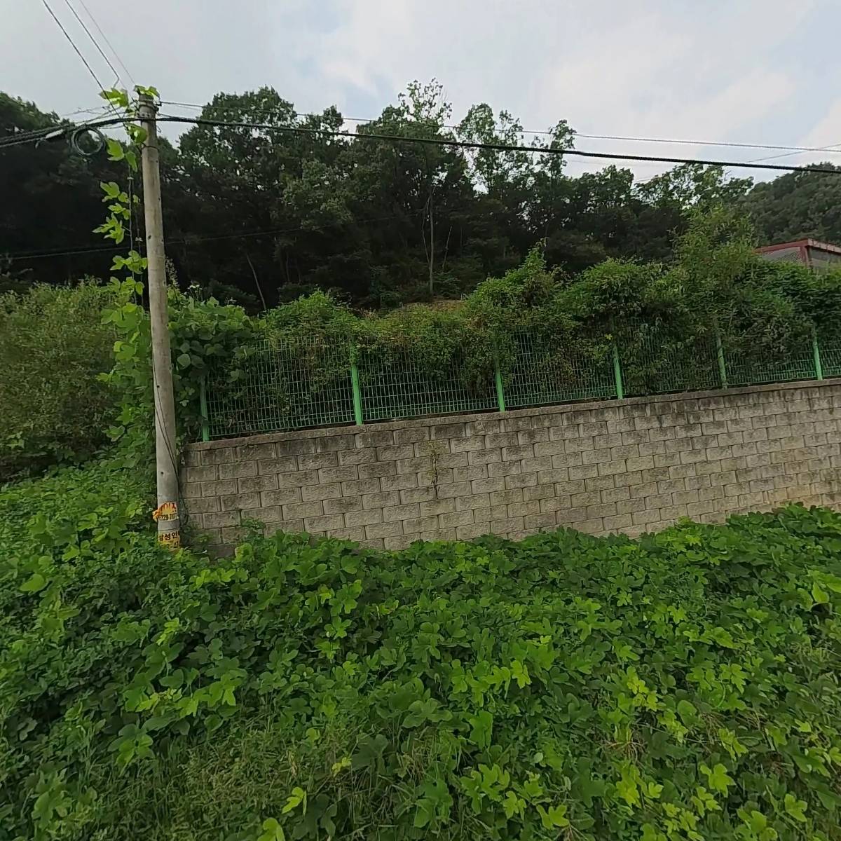 토담