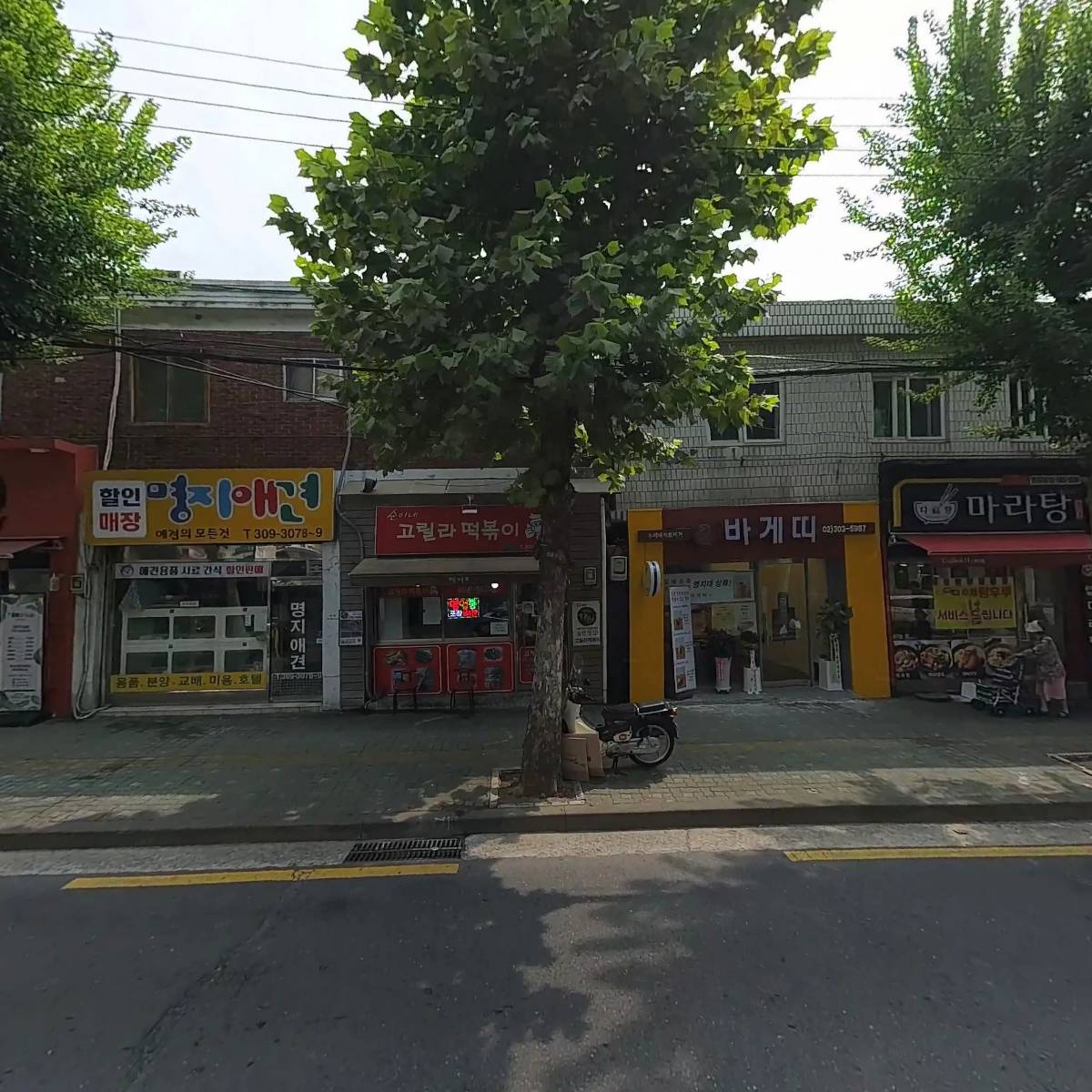 활구팔구_3