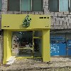 생화