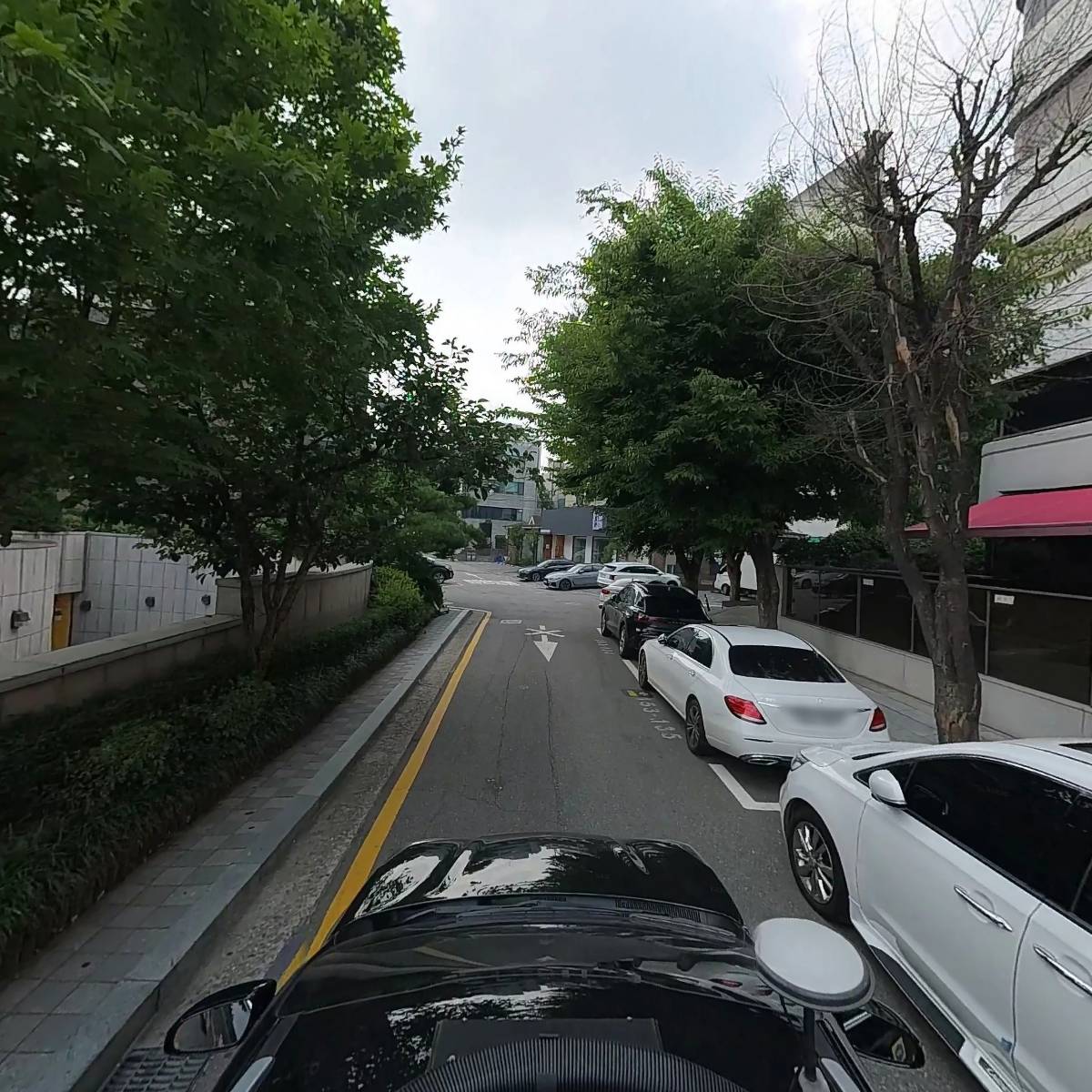 베어약국_4