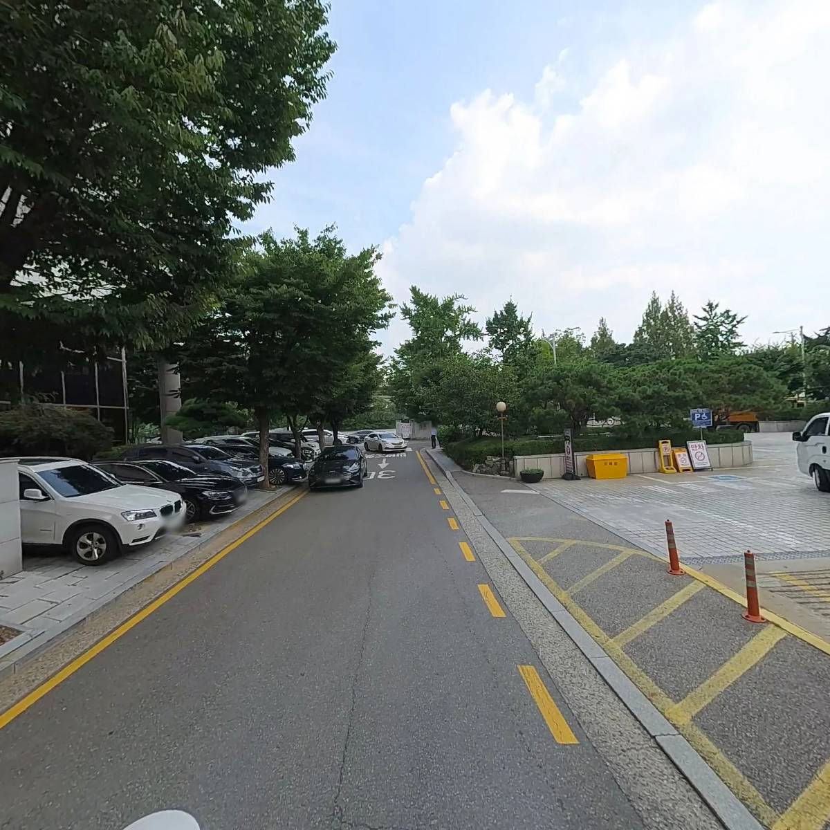 베어약국_2