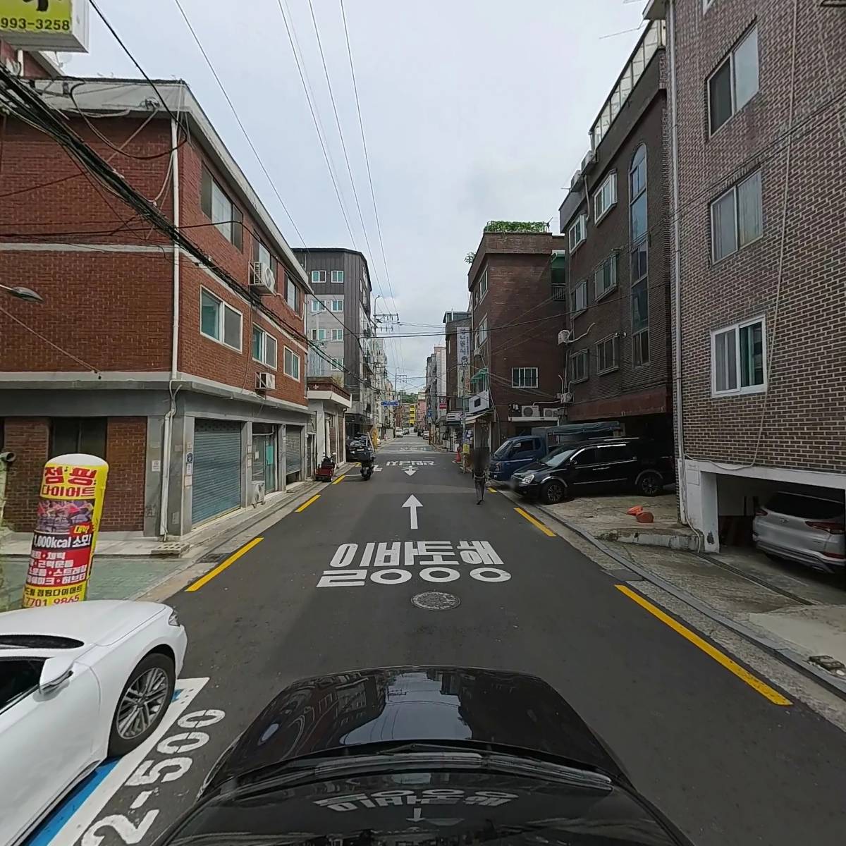 별에그린_4