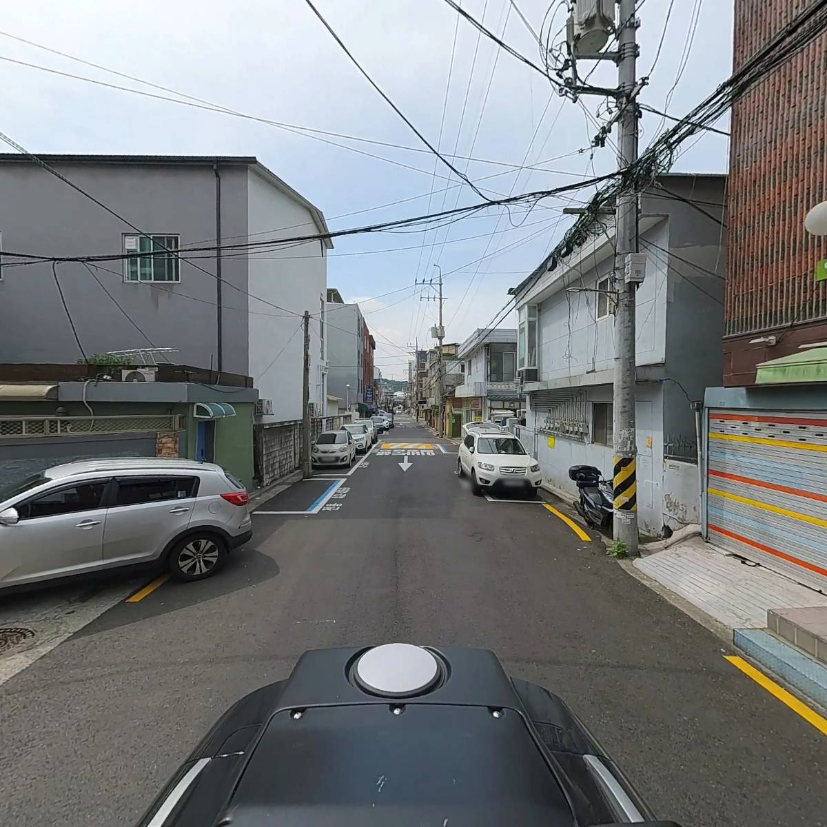 별에그린_2