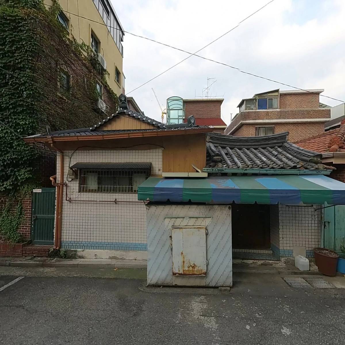 바이오텍스타일