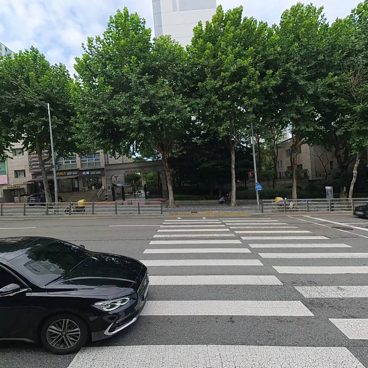 레드키위(주)_3