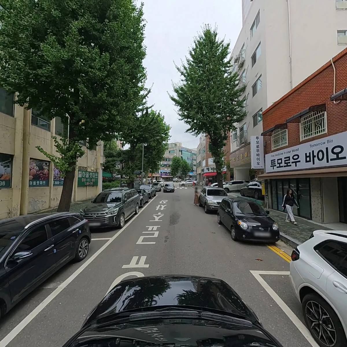 금마차_4