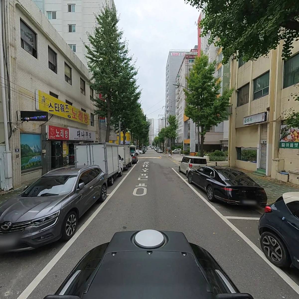 금마차_2