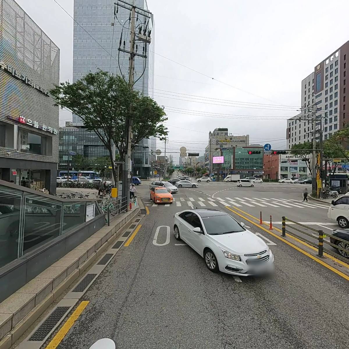 주식회사 웰니스팜_2