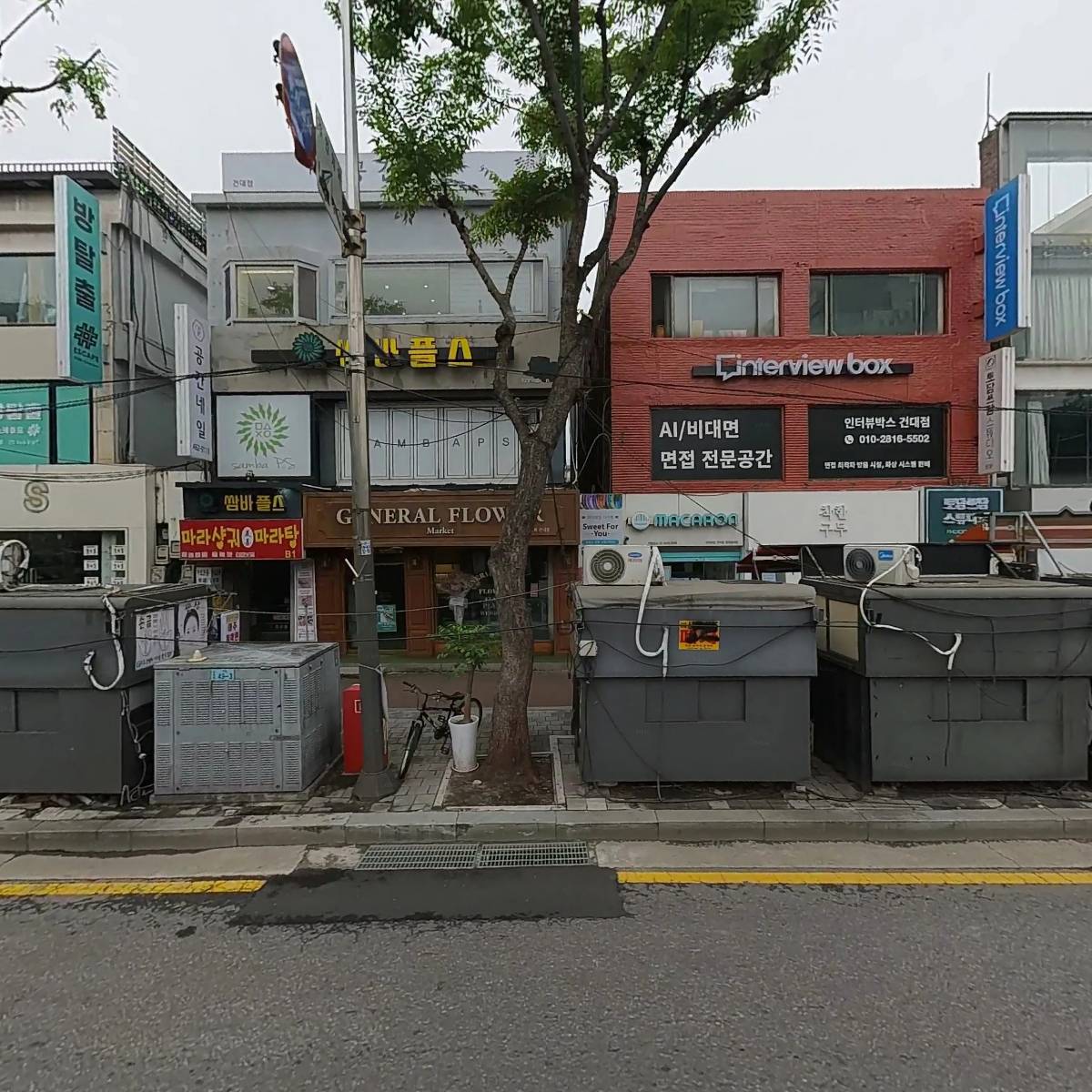 마리웨일마카롱