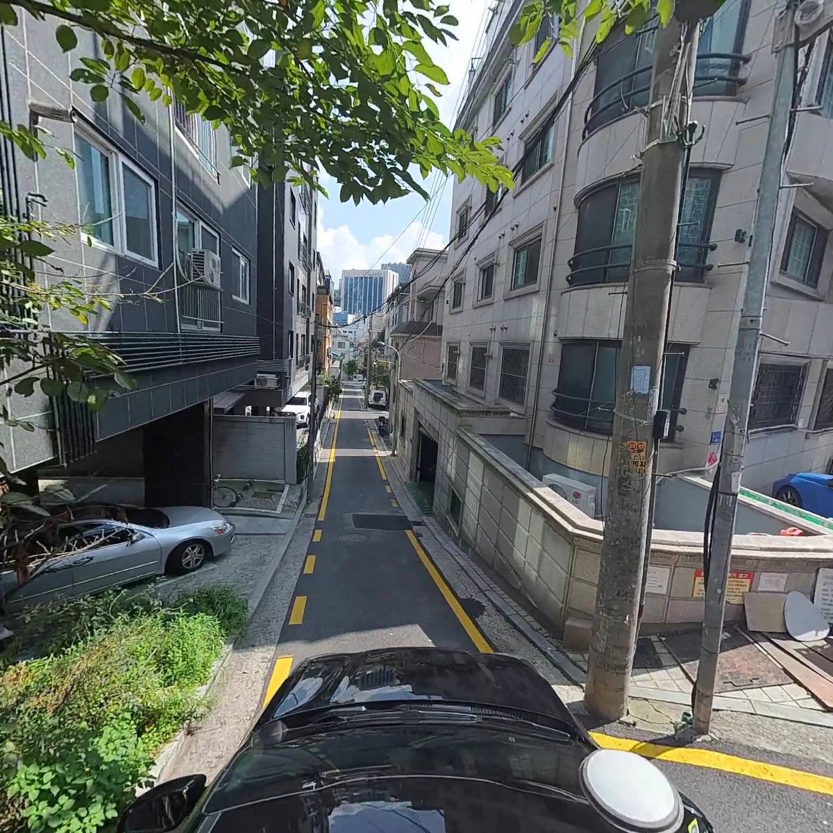 월드스타_4