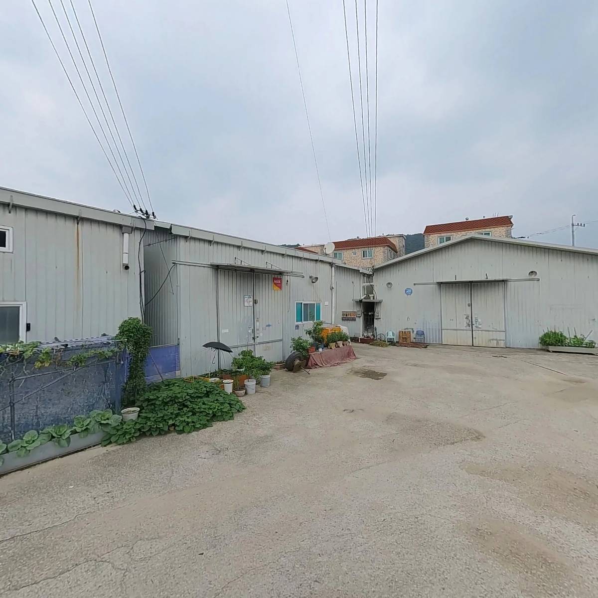 주식회사 늘푸른초원