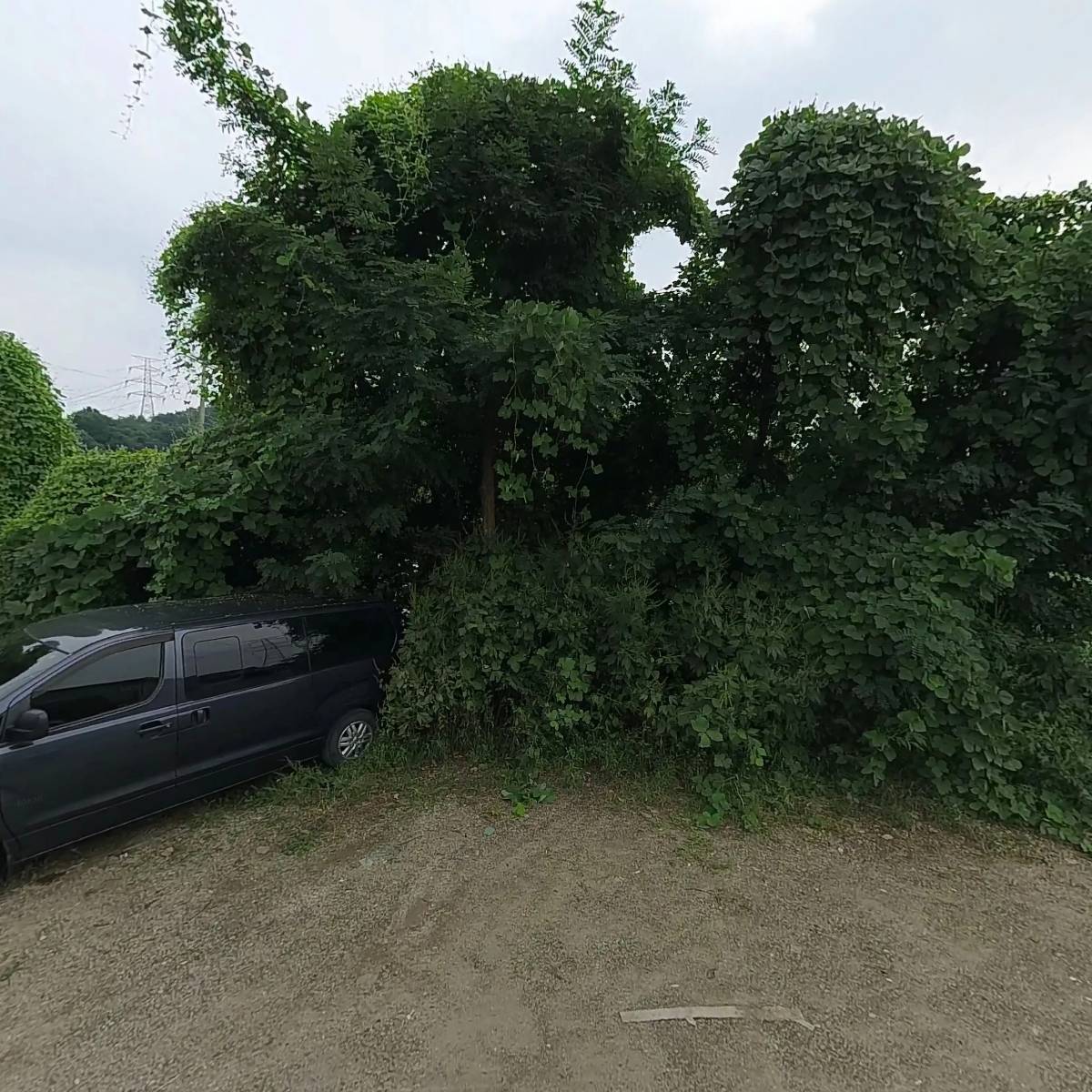 고바우_3